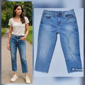 HALE Tyler Senna Distressed Cropped Boyfriend Jean with Raw Hem Size 28